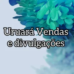 Uruará vendas e divulgações
