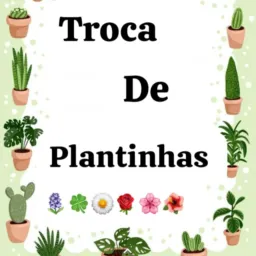 Trocas de plantas 🌹🌷🌺💐🪷🌸🏵️🌿🌱🌾🍄🍂🌼🍀🪻🍃☘️🌵🌴
