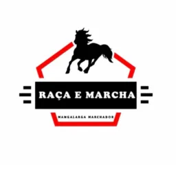 💥 NOTÍCIAS RAÇA E MARCHA !!!