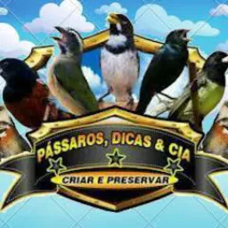 Cria & Preservá & trocas.
