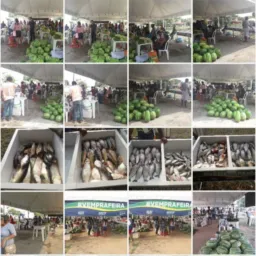 Grupo Feira da Agricultura Familiar 🤝🏻