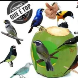 🇸🇲MADUREIRA ROLOS E VENDAS🇸🇲