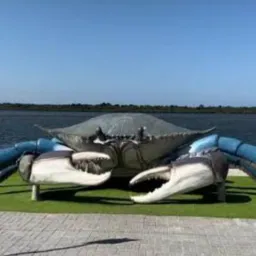 Barra Do Sul , Costeira  e Arredores