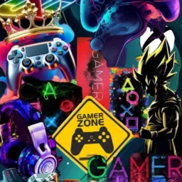 Zona Gamer