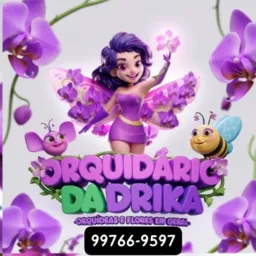 Orquídario da Drika 🌿