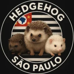 HEDGEHOG SÃO PAULO (OURIÇO PIGMEU AFRICANO) 🦔