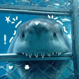 𝆹𝅥🦈⃝ㅤ𖥻꯱ᷓຼ𝗲ᩘ᪸ꬶᩙᰰ᳞ 𝖽᳕ᧉᩙ𝖼ິ︩𑄝ꭇⴧ֟፝ ! - Multirão/divul