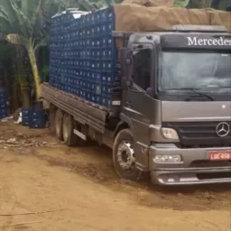 Pura bucha