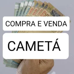 Compra e venda Cametá G1
