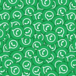 LINKS DE GRUPOS WHATSAPP