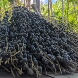 Grupo de Compra e Venda dos Pescador 🛍️