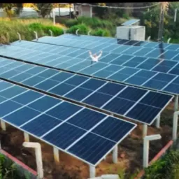 Fãs da Energia Solar ☀️