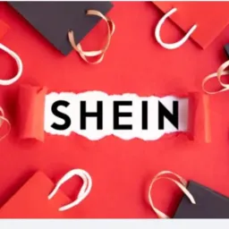 SHEIN Pedidos grupo 6