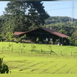 Vende so fazenda