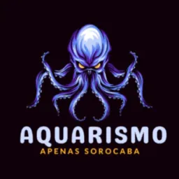 Aquarismo Apenas Sorocaba - Compras e Trocas