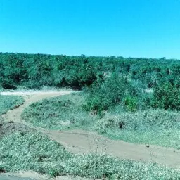 Grupo de amizade da aldeia Cerrito e takuara