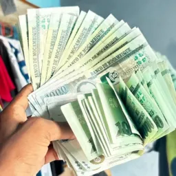 INVESTIMENTOS COM AGENTES DA ELEPHANT BET ✈️