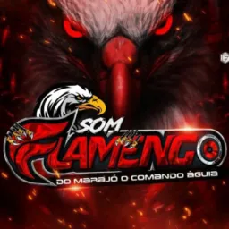 🔷SOM Flamengo DO MARAJÓ O COMANDO AGUIA🔷 2025