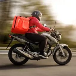 Pequenos Fretes De Patos para região 🛵