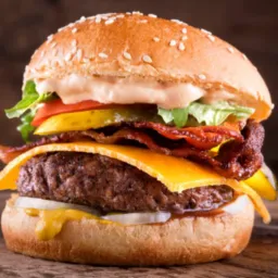 Somentes Lanches Plan-Go
