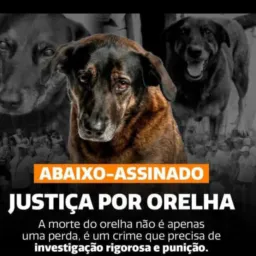 Doação 1