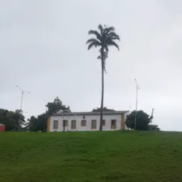 Vende-se e trocamos pitimbu paraiba 😍🥰😘