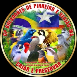 🇧🇷#BOLADORES DE PINHEIRO E REGIÃO🐦🦜🐓🦆🐒🐷🇧🇷