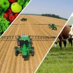 🙃🥰 AMIGOS do AGRO II 👩🏼‍🌾🧑🏾‍🌾🚜🌾🐎🐂🐄🐖🐑🐓🐶🌱🎋🌳🪴🍞🥨☕🫘🥜🥦🥒🍓🍊🍇🍉🍷🧉