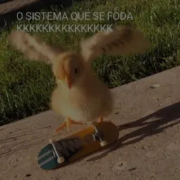 🖕🏻Foda se o sistema ❌