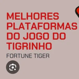 Divulgação liberada 💃🏻🐯