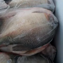 Peixaria Vitória