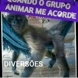 ?! 🤡😂🥳 POVÃOOO 😂🥳🤡