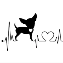 PINSCHER 🐶 Divinopolis