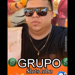 Amigo(a)s Slots e Estratégias Lobo 🐻‍❄😍🙏🏽👏🏼