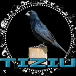 EQUIPE SÓ TIZIL MÁQUINA