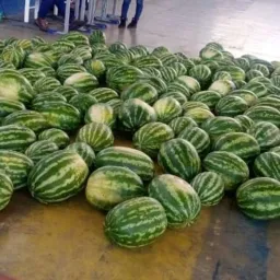 .compra e venda.T.preta🍉