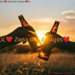 Zona dos Amigos 🌏