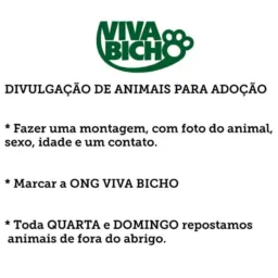 Doação pets, Adoção pets🐶😻
