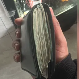 Plataformas aprovadas