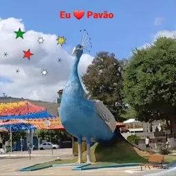 #Eu amo ❤️ PAVÃO🦚                                      ❤️❤❤️❤️😀😀😀😀