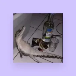 Chatxi do HDzin