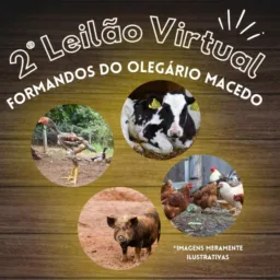 2° LEILÃO - FORMANDOS DO OLEGÁRIO MACEDO 🐮🐔🐷🐑🐎