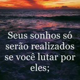 Links e Reflexões