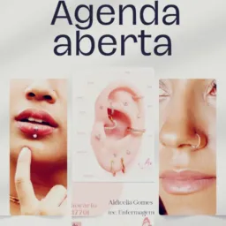 Ag Aldicelia Gomes comercio e servicos