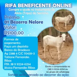 RIFA BENEFICENTE ALICIO (TRIPA) SERRINHA