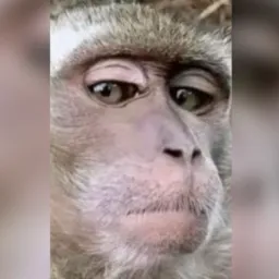 Só entra quem não tem juízo ✋🏼🤣