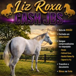 4ª RIFA RANCHO EE !  - LIZ ROXA CASH