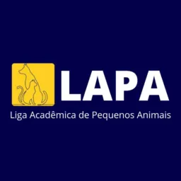 🐈LAPA - PÚBLICO 2🐕