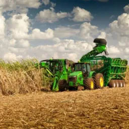 CANAVIEIROS🌾🚜