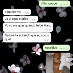Figurinhas Liberadas